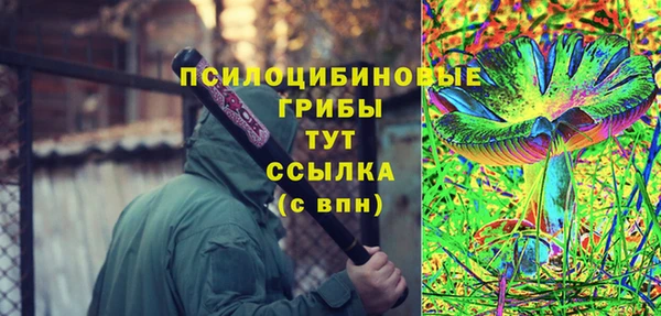 прущие грибы Вяземский