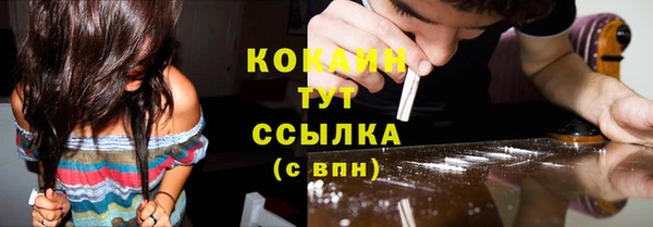 прущие грибы Вяземский