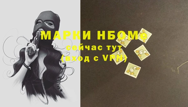 стафф Кодинск