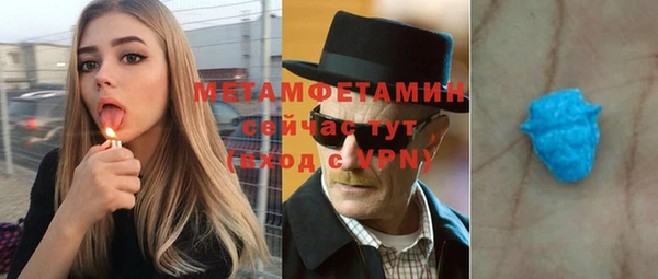 прущие грибы Вяземский