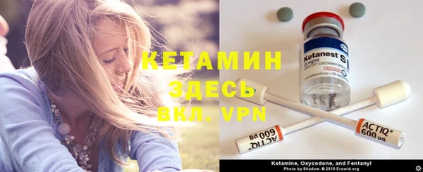 прущие грибы Вяземский