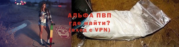 прущие грибы Вяземский