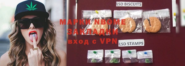 прущие грибы Вяземский