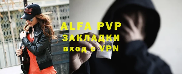 прущие грибы Вяземский