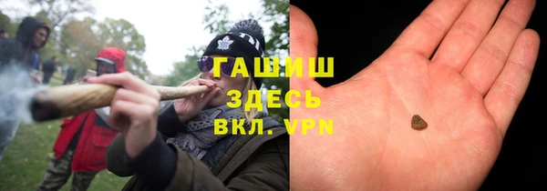 прущие грибы Вяземский