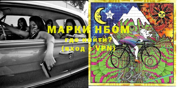 прущие грибы Вяземский