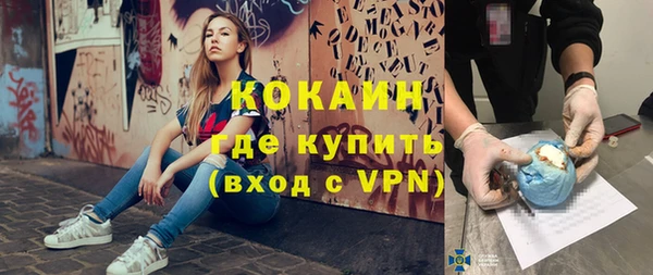 прущие грибы Вяземский