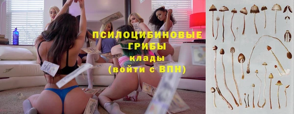 прущие грибы Вяземский