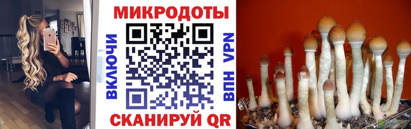 Галлюциногенные грибы MAGIC MUSHROOMS  закладка  Калачинск 